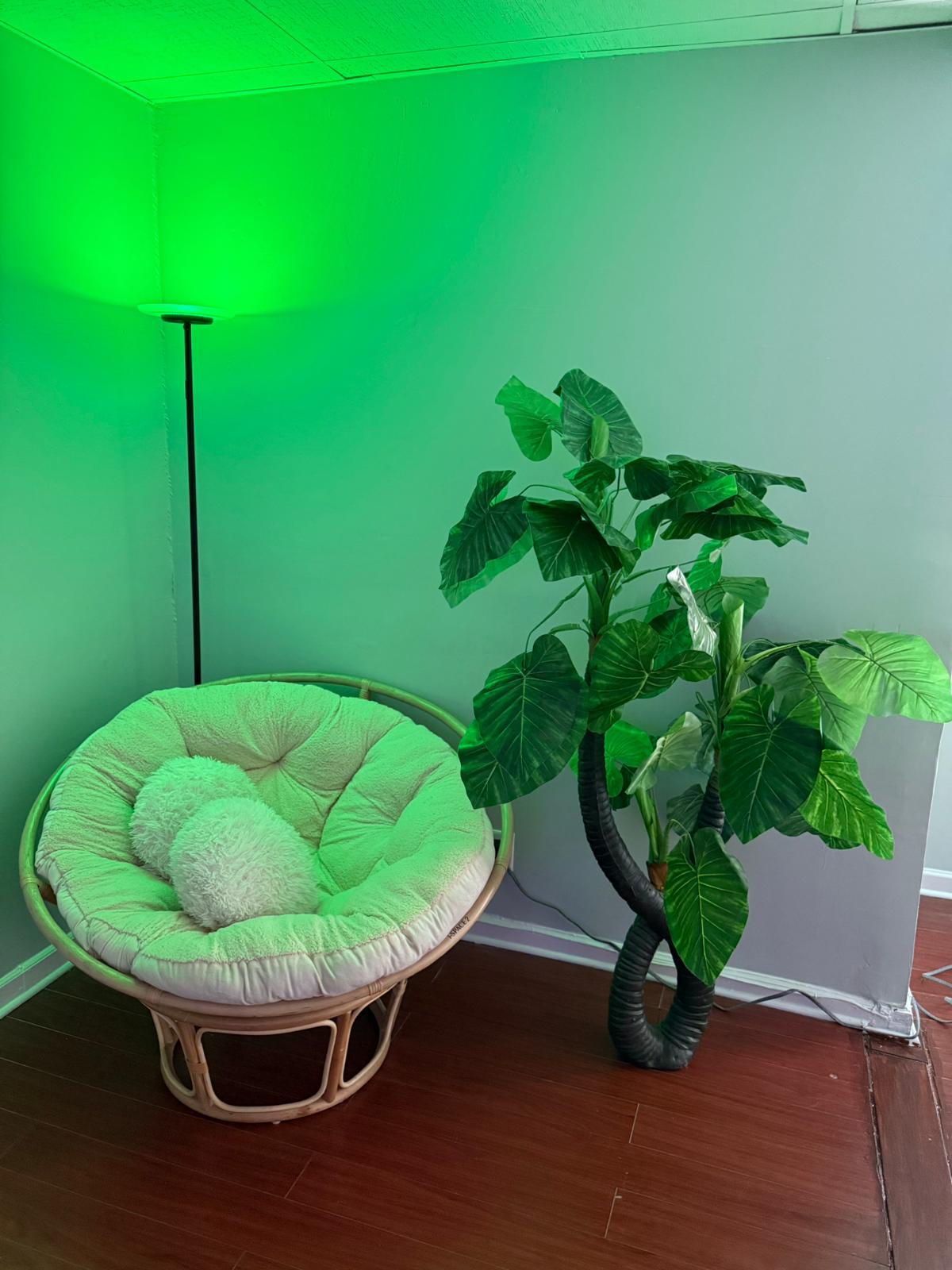 Photoshoot Studio Setup 2