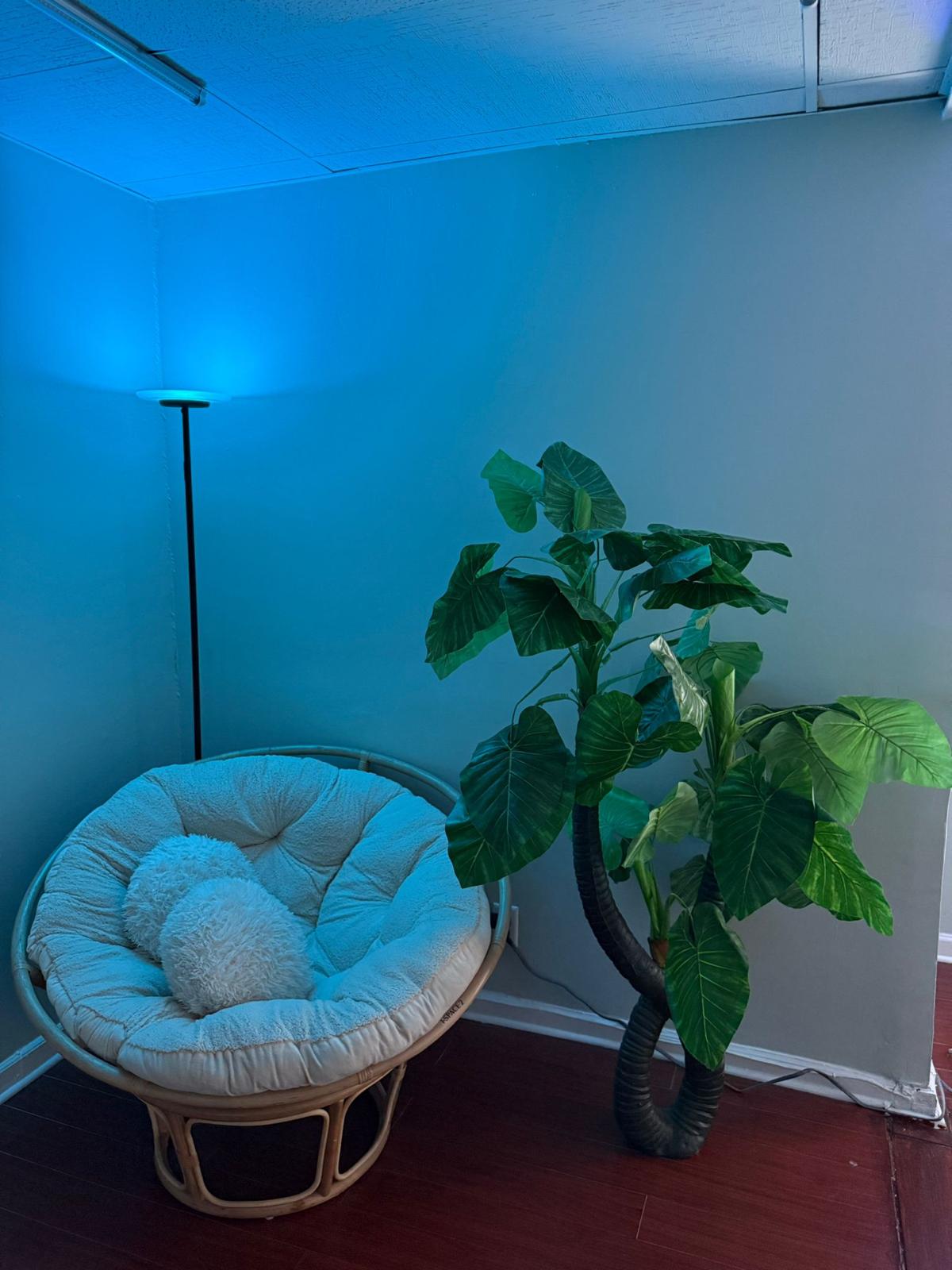 Photoshoot Studio Setup 3