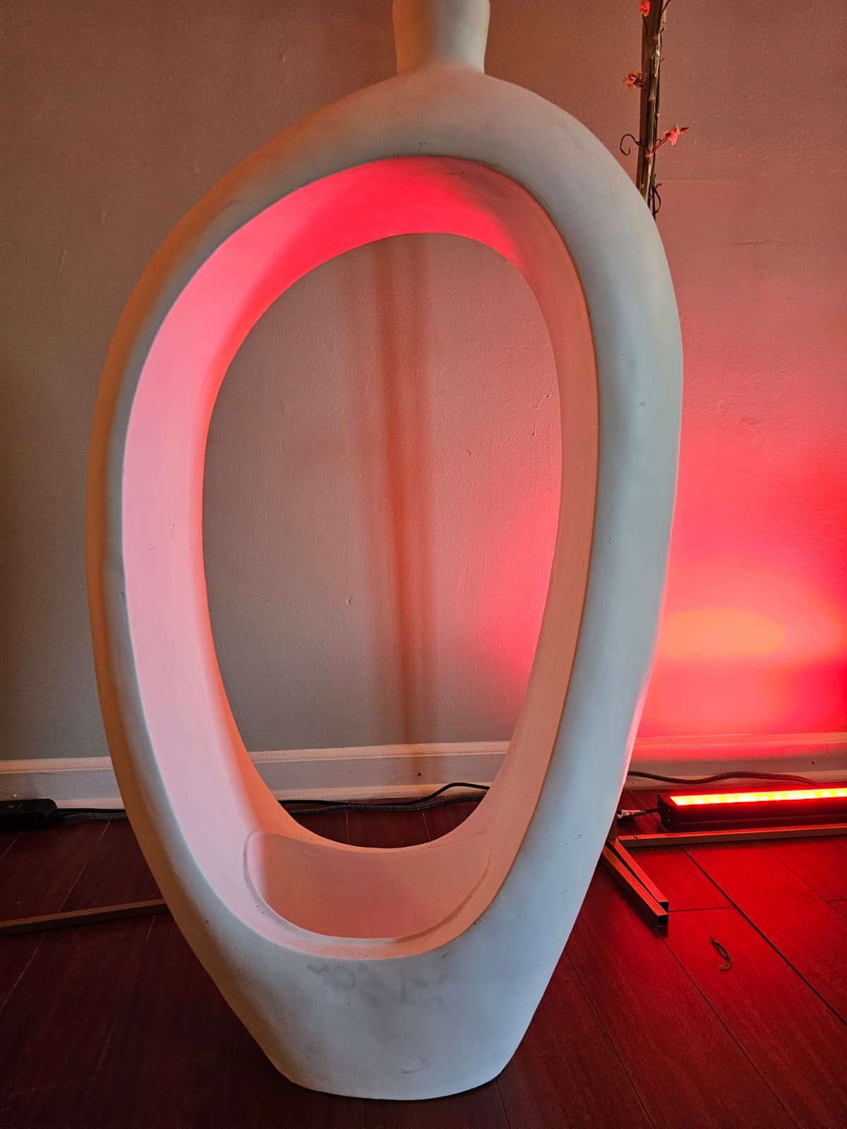 Professional Photography Session 1