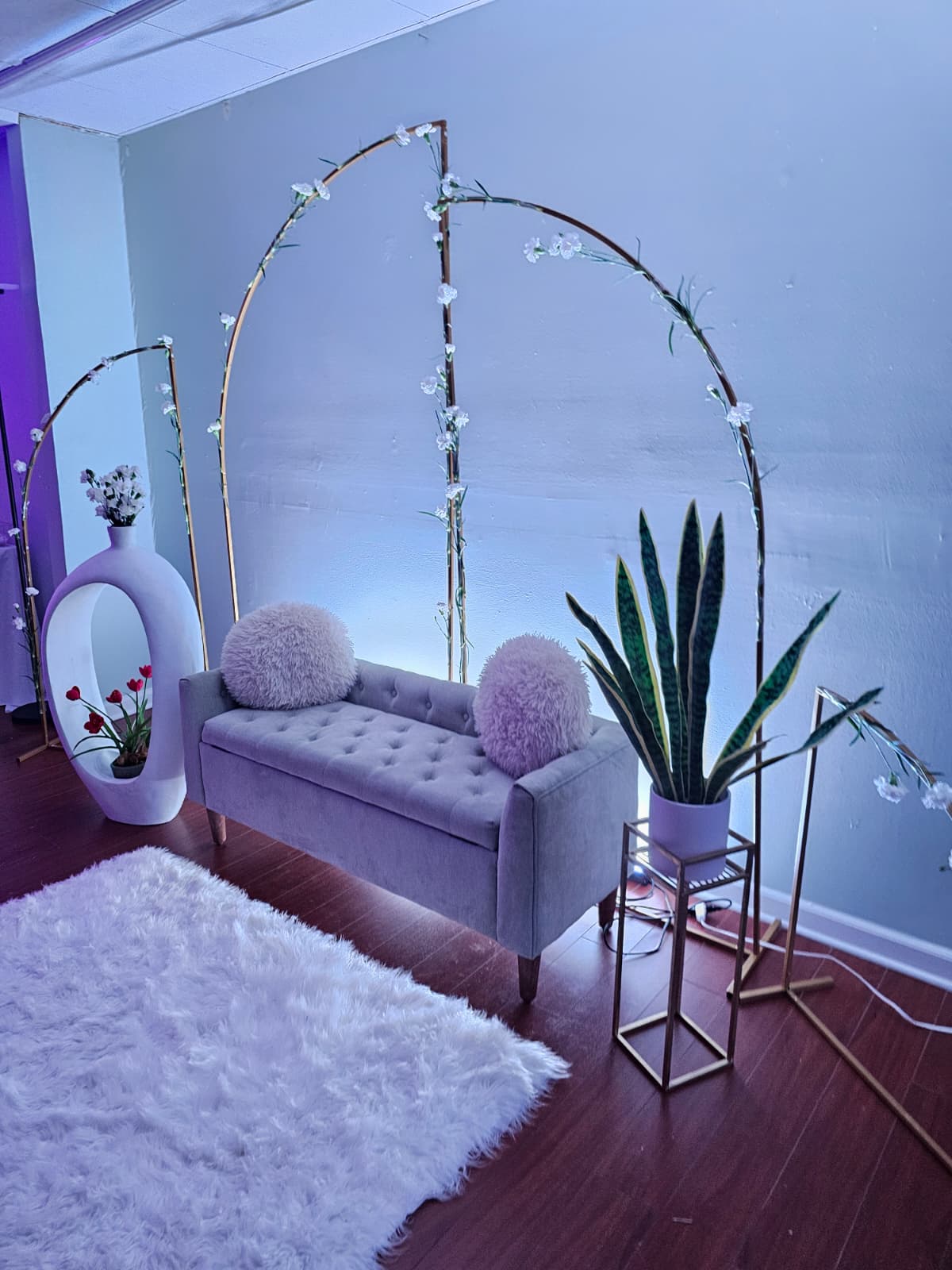 Professional Photography Session 2